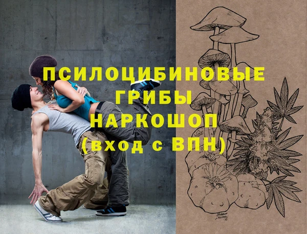 ГАЛЛЮЦИНОГЕННЫЕ ГРИБЫ Армянск
