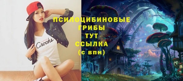 ГАЛЛЮЦИНОГЕННЫЕ ГРИБЫ Армянск